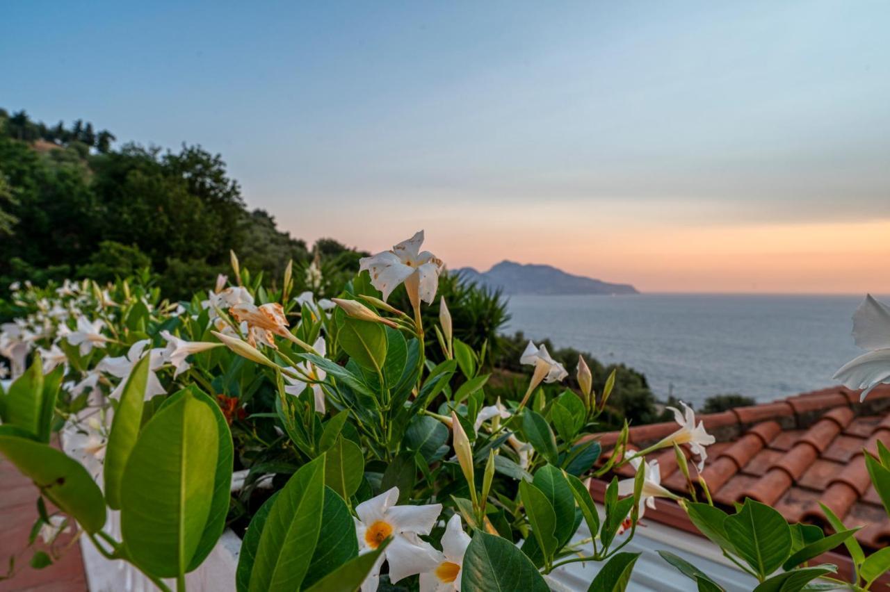 Villa Il Canto Delle Sirene Marciano Екстериор снимка